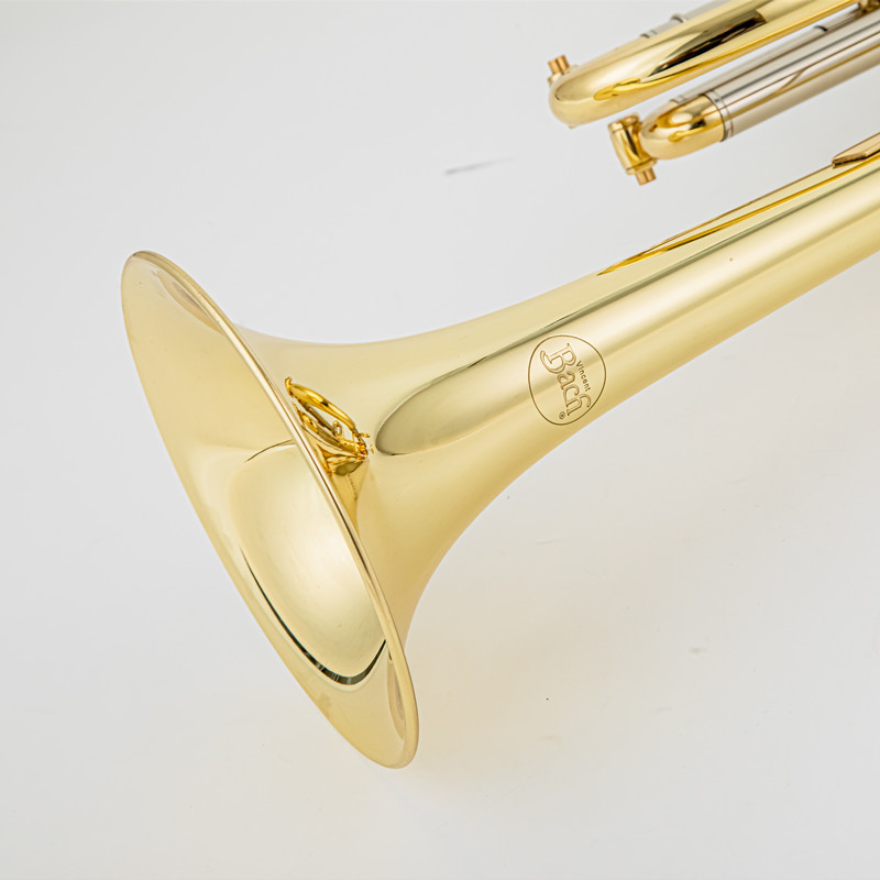 Trombone Mouthpiece - Vincent Bach Trumpet Bb B Flat