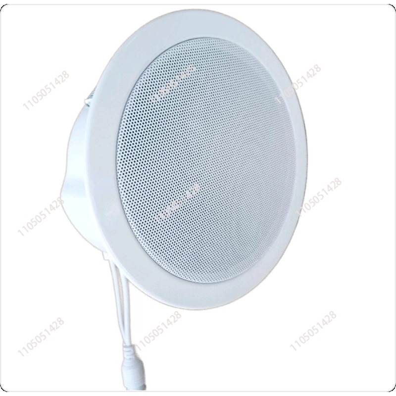 IP network speaker, ceiling au - огляд і ціна Audio Music Store