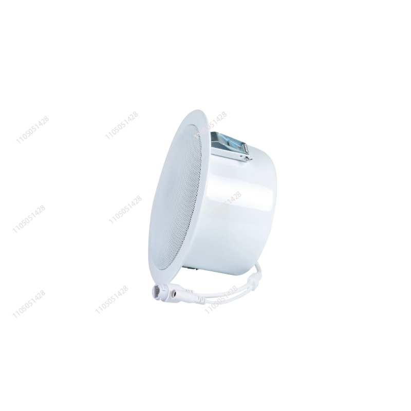 IP network speaker, ceiling au - огляд і ціна Audio Music Store