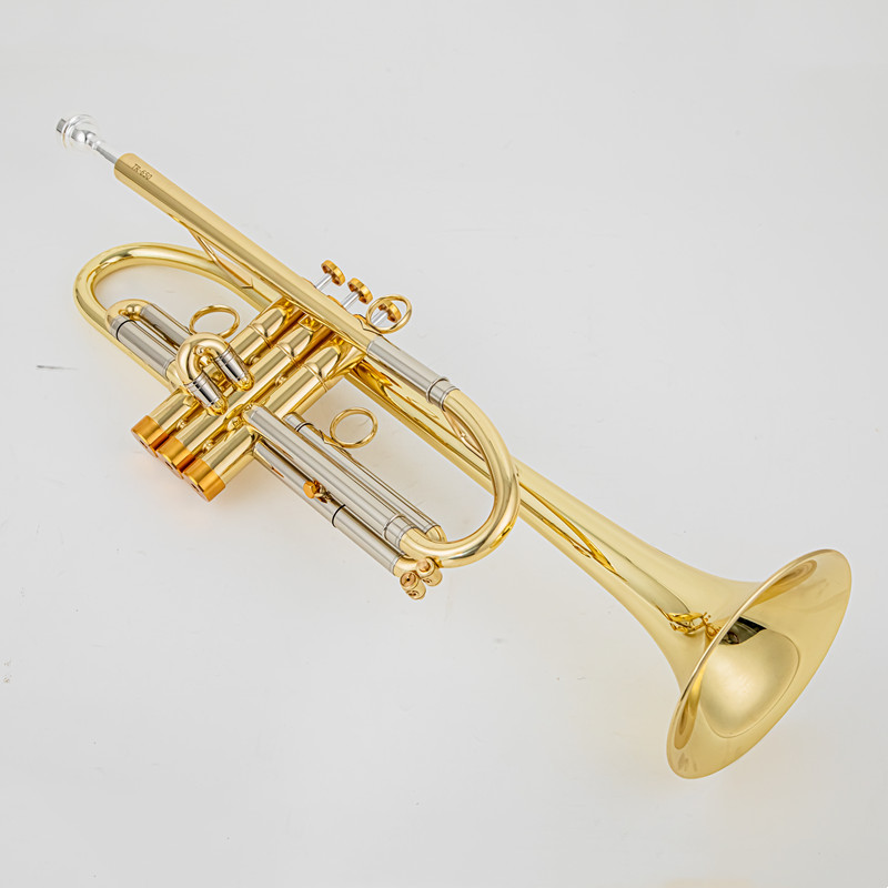 Vincent Bach Trumpet Bb B Flat - огляд і ціна Trombone Mouthpiece