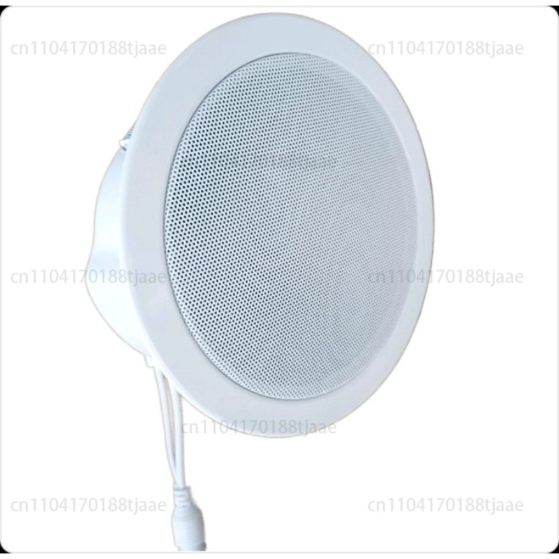 IP Network Speaker, Ceiling Au - огляд і ціна Audio Music Store