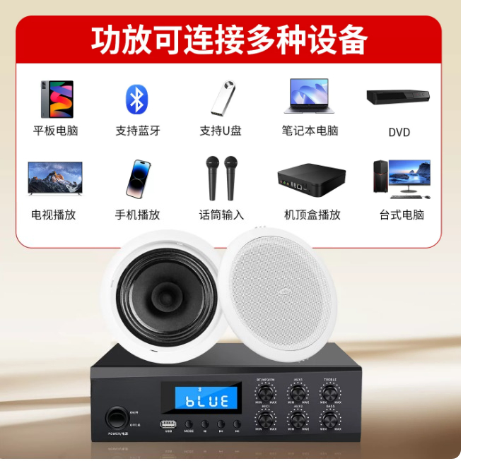 TD202 ceiling speaker ceiling  - огляд і ціна Audio Music Store